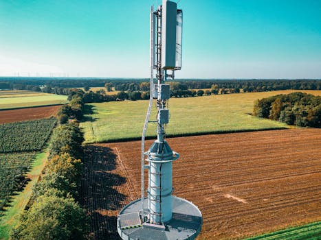 EMF exposure basics RF vs ELF - RF fields: where they come from and how they behave
