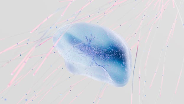 autophagy 101 - Practical guidance: a safe, sustainable approach to supporting autophagy