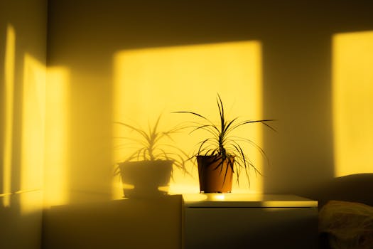 indoor light vs outdoor sun circadian dose - Step-by-step: calculate and compare your circadian dose from indoor light and outdoor sun