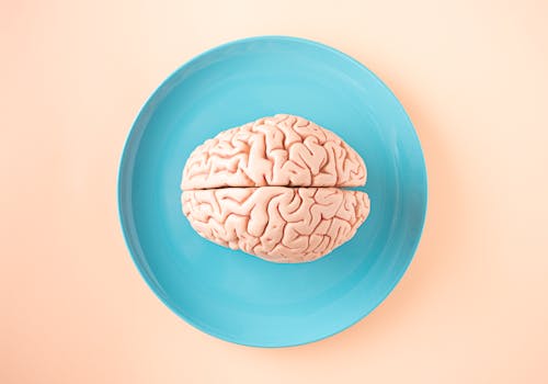 how piracetam works in the brain - What piracetam is and why the mechanism matters