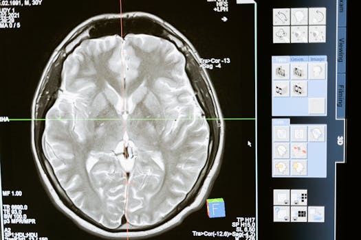 how piracetam works in the brain - Relevant research directions and what to watch next