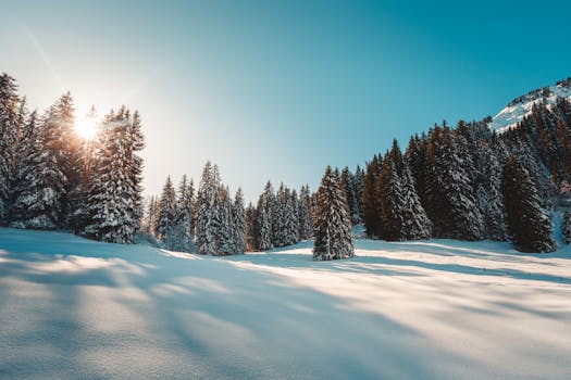 cold vs heat for DOMS - Cold and heat for DOMS: what you’re trying to change
