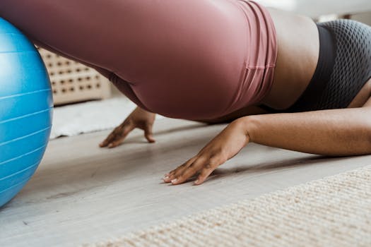 pelvic floor muscle anatomy - Pelvic floor nerves and blood supply: what supports function