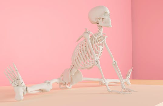 pelvic floor muscle anatomy - Prevention and long-term pelvic floor health