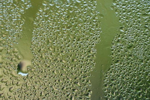 indoor humidity mold risk troubleshooting condensation target RH range - Overview: how condensation and indoor humidity create mold risk