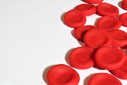 erectile function and blood flow - How nerve signals and nitric oxide trigger vascular relaxation