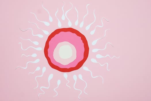 fertility window timing sex - Can stress, illness, or travel change fertility window timing?