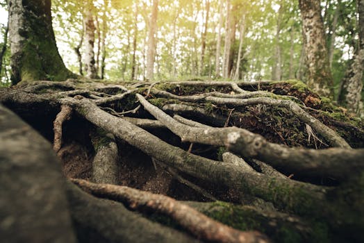 attention drift root causes systems map - Why your focus “drifts” even when you intend to concentrate