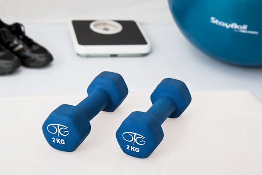 zone 2 training for beginners - What “zone 2” means and why it matters for beginners