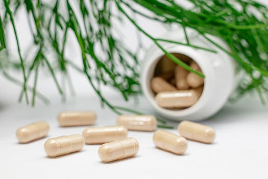 testosterone support vs thyroid support supplements choose based on labs - How they differ in real-world performance (what changes, when, and why)