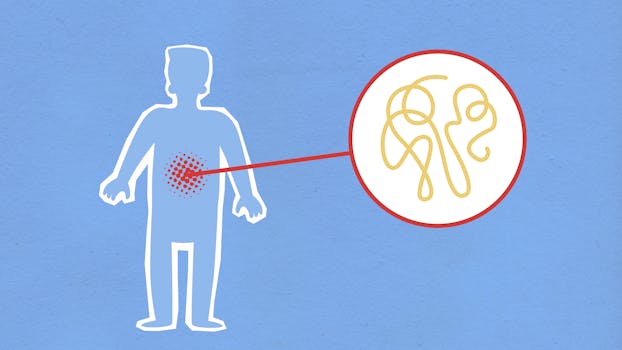 oral microbiome and systemic inflammation - Why your mouth can affect more than your teeth