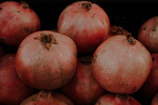 oxidative stress 101 ROS antioxidants - Oxidative Stress 101: Why ROS and Antioxidants Matter