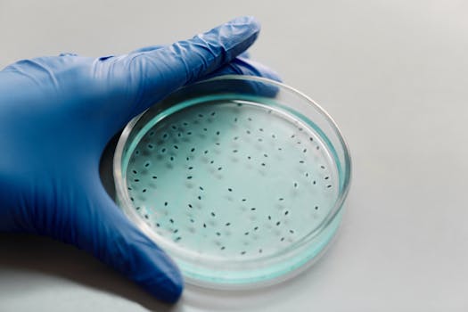 semen analysis parameters explained volume concentration motility morphology abstinence timing - Why semen analysis numbers matter for fertility planning