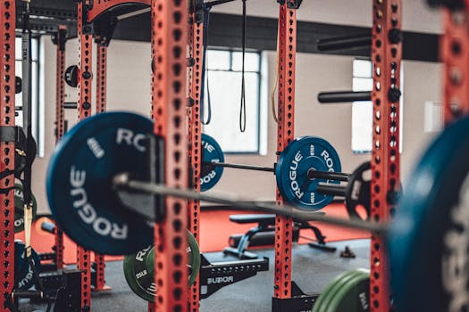 dumbbells vs barbells vs machines for strength - How these strength tools compare in real training
