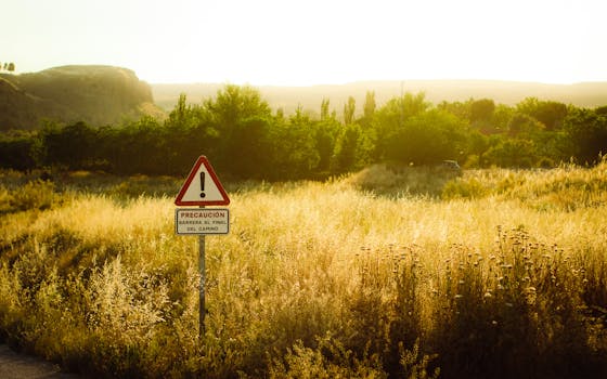 biohacking hazard stop conditions - Stop conditions based on measurement and protocol deviations