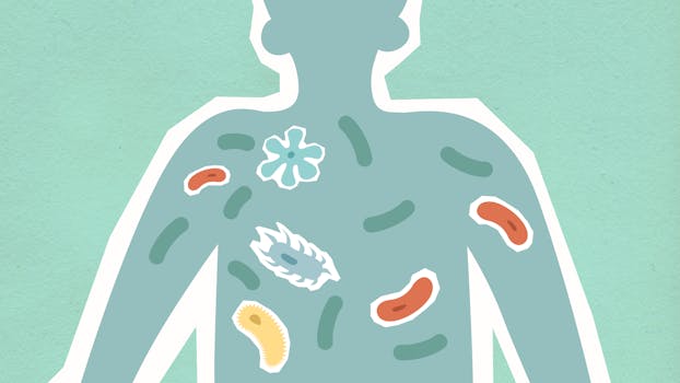fasting and gut health microbiome - Bile acids, fasting, and microbiome signaling