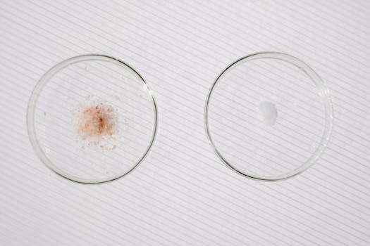 zinc pyrithione vs ketoconazole shampoo ingredients comparison - Two medicated scalp ingredients, two different jobs