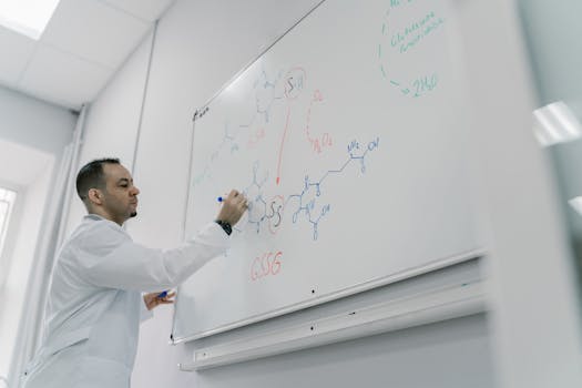 autophagy signals mTOR AMPK LC3 p62 explained - Prevention and safety: when “more autophagy” isn’t the goal