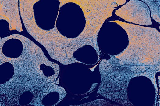 autophagy triggers mTOR AMPK ULK1 - mTOR: the nutrient-and-growth brake on autophagy