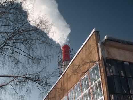 HEPA vs activated carbon vs true HEPA filter - Real-world performance: what changes in your home