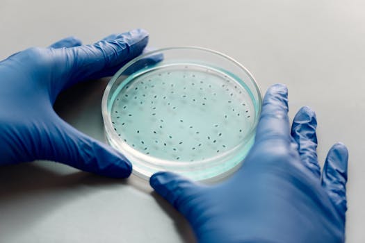 microbiome test troubleshooting sampling diet antibiotics contradictory results - Practical example: resolving “antibiotics made it worse” contradictions