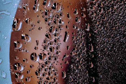 mold risk humidity condensation hygrometer thresholds - When replacement or professional help is necessary
