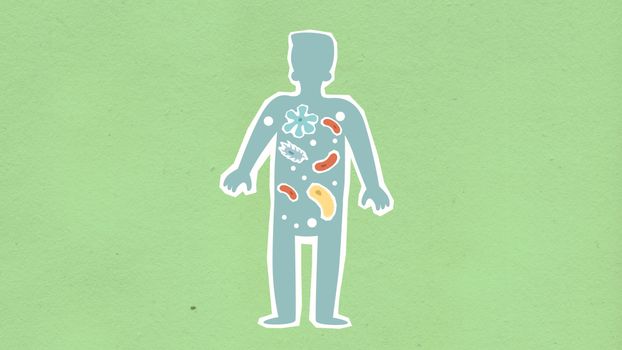 how to interpret microbiome test results diversity functional pathways - Timing, medications, and sampling: the hidden variables that change results