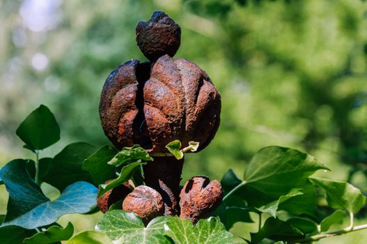 oxidative stress explained - Oxidative stress and common health conditions