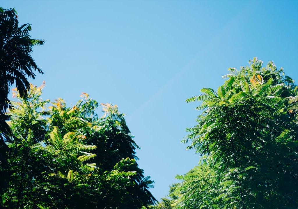 blog-12