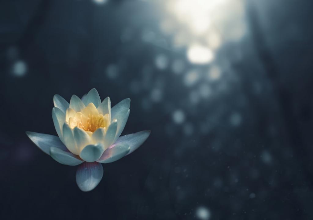 blog-12