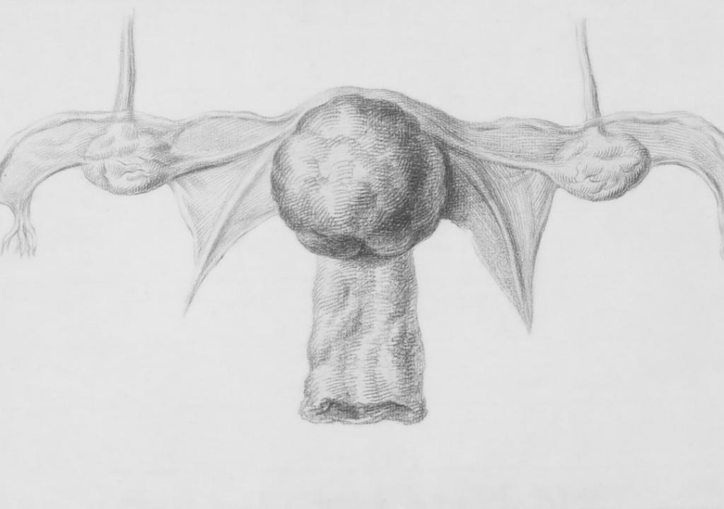 blog-12