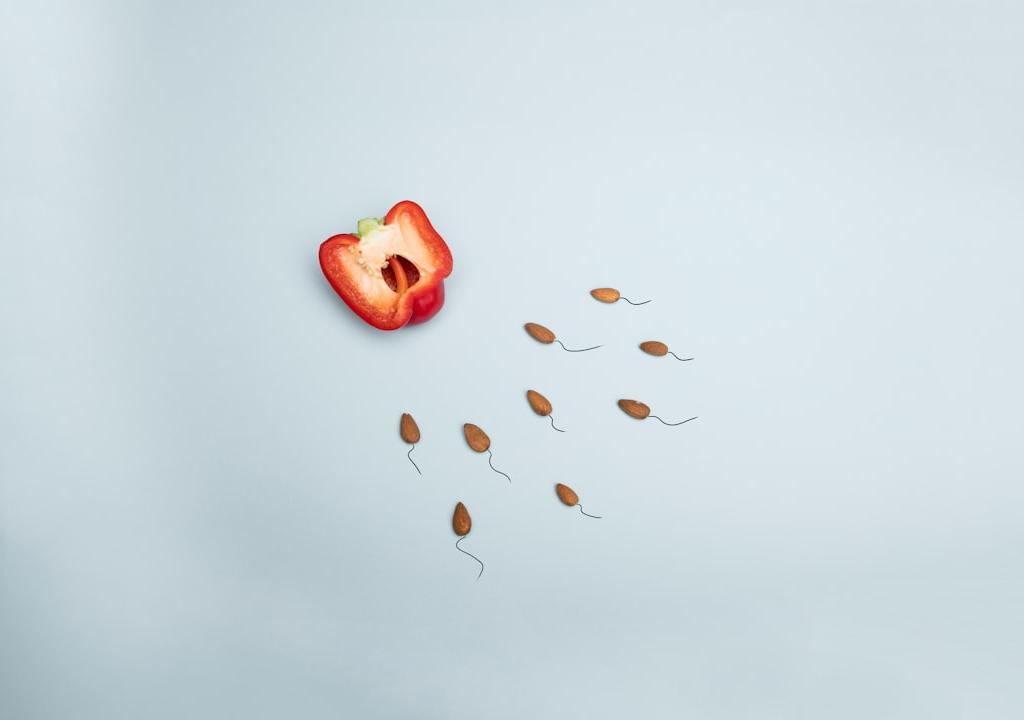 blog-12