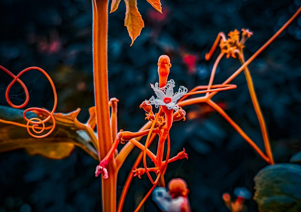 blog-12